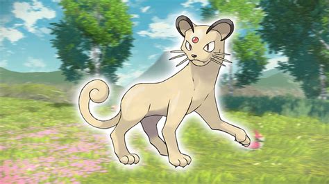 konter snobilikat|Pokémon GO: Giovanni im Dezember 2024 finden。